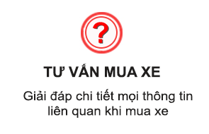 Tư vấn